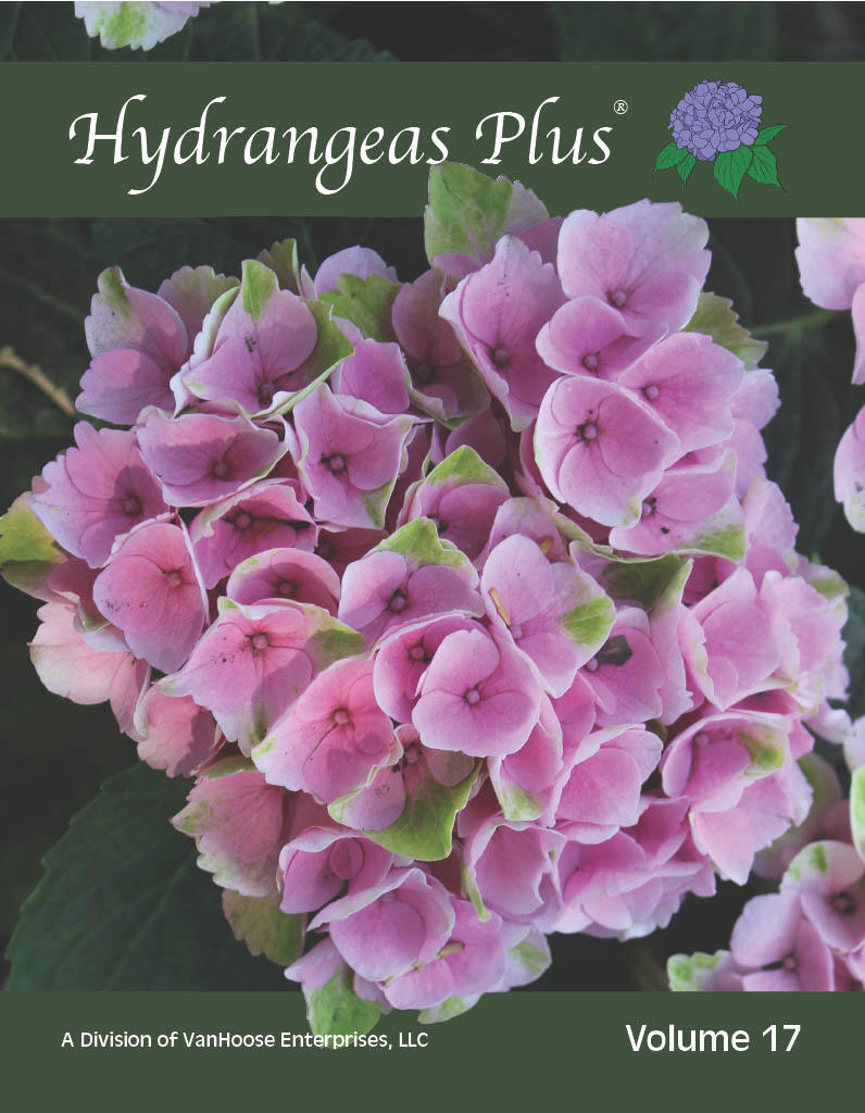 Hydrangeas Plus Catalog - print