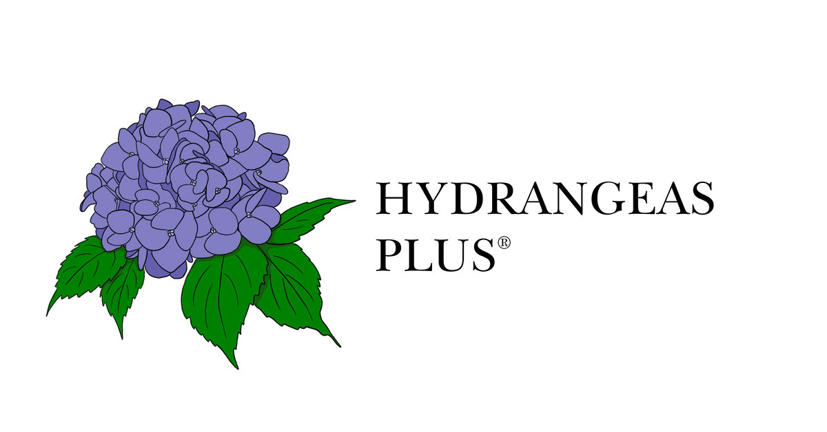 Hydrangeas Plus